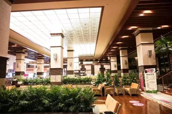 魔都温泉摘草莓,魔都温泉一日游攻略