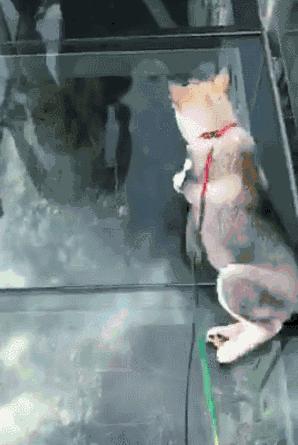 中国最美最刺激的10座玻璃桥,敢约吗?