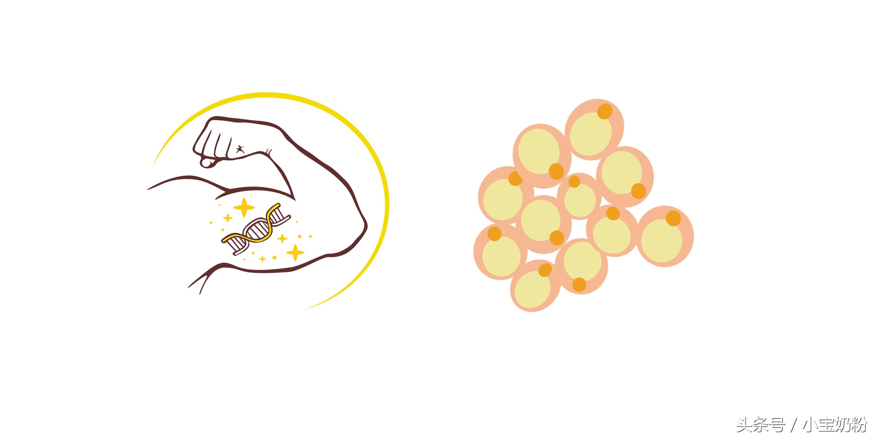 肠胃不好吃什么奶粉比较好,什么奶粉好吸收且对肠胃好