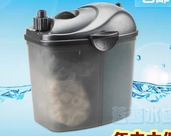 新手养草缸鱼,草缸新手入门