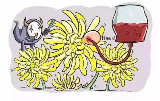 中医治疗痔疮方法,得了痔疮怎么治疗最好大便有血