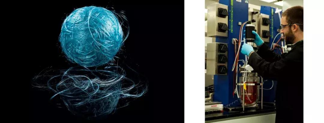 基因重组可以产生新物种吗,基因重组会产生新的基因吗