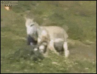 拳击是一项非自然的运动,20分钟高强度拳击运动