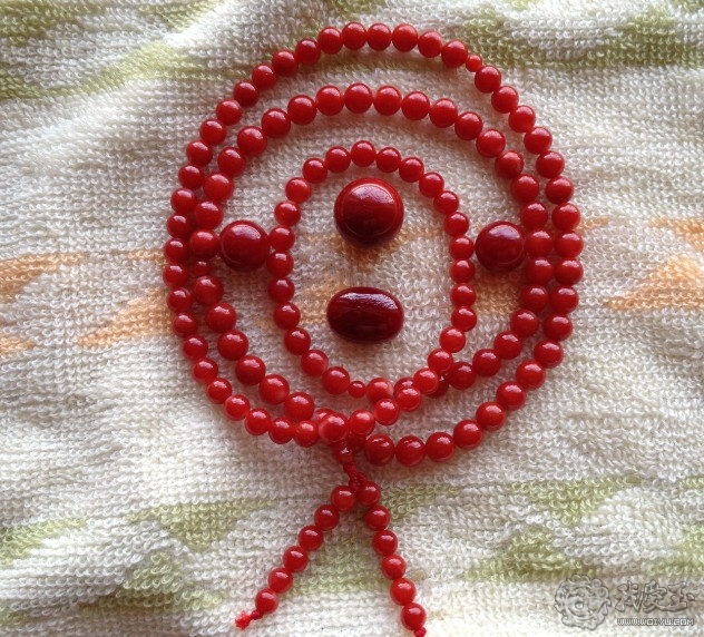 你印象中的珊瑚是怎么样的？关于价格看色的珊瑚究竟如何？来看看