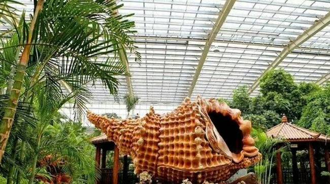 「温泉季」为你盘点天津这些约“泡”好去处！