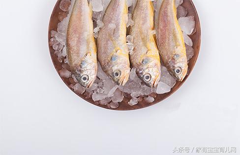 哪些鱼吃了补脑效果好,什么鱼孩子吃补脑效果好