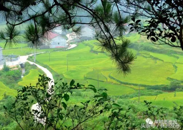 火田大英村,茶陵火田大英村