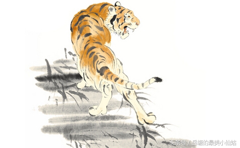 生肖属虎的人和什么生肖最般配,生肖虎适合和哪些生肖配对