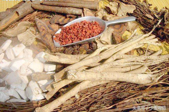 治疗血液病最好中药,中药对血液病有用吗