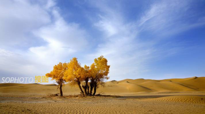 图片库摄影变现,图片库摄影师怎么赚钱