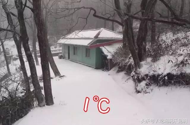 这两天德宏拽伤了,和全世界对话都是:我20度!