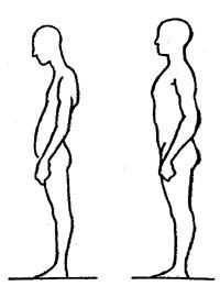 运动康复师教看核磁,运动康复脊骨梳理训练