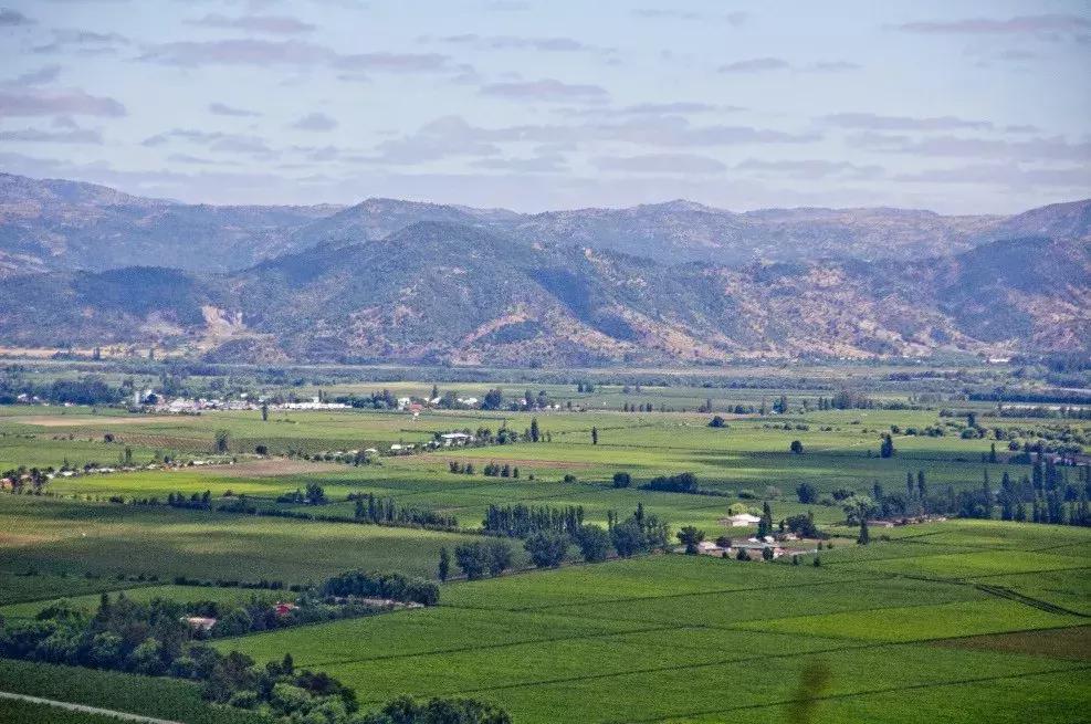 新手怎么挑适合自己的红酒,怎样挑选一瓶好的红酒视频教学