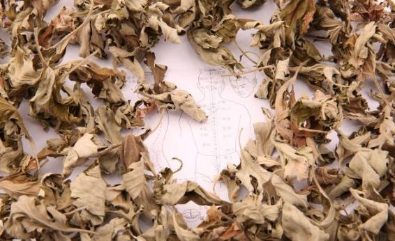 艾叶泡脚对人体有什么好处与坏处,经常用艾叶泡脚对身体有什么好处