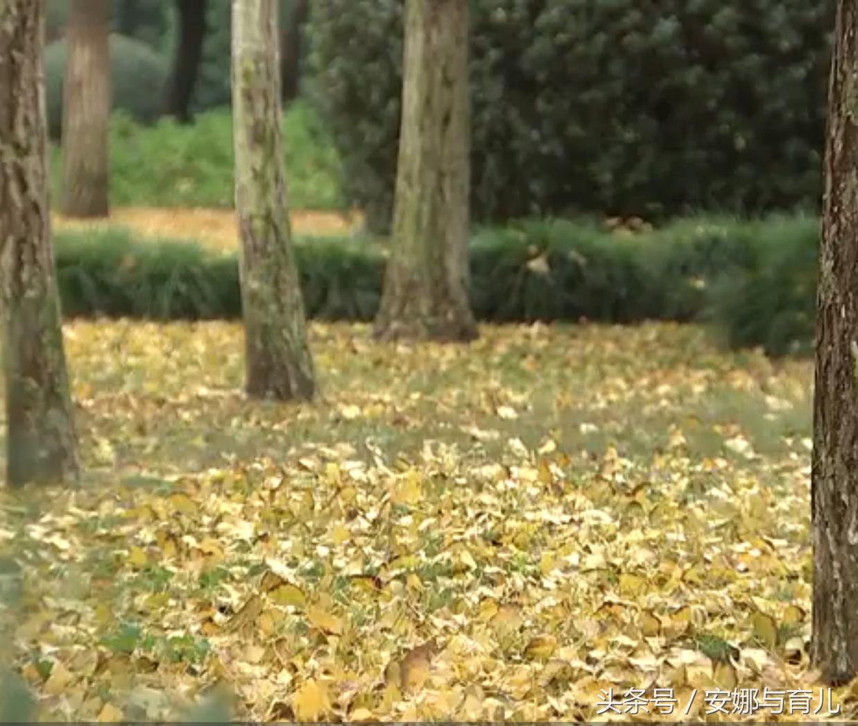 4岁女孩身上发痒,儿童身上奇痒无比怎么办