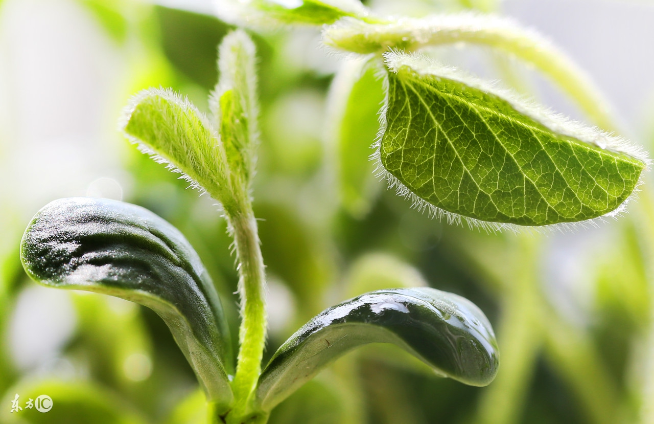 小学语文知识点归纳关联词的作用,小学语文最全关联词用法重点讲解