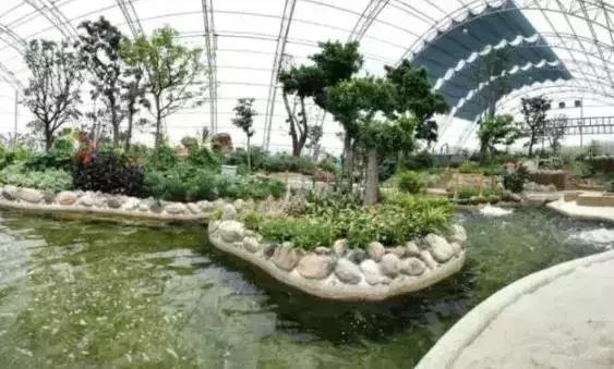 魔都温泉摘草莓,魔都温泉一日游攻略