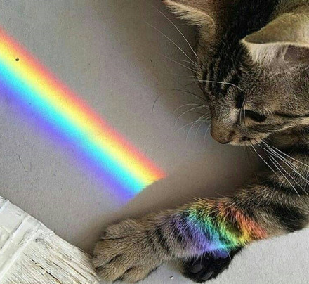 关于搭配潮流的ins,ins穿搭最近流行