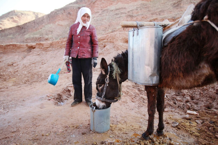 这个村庄吃水就这一口小泉眼，每天靠毛驴驮水使用