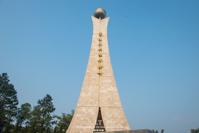 这里铁树开花是家常便饭,还有穿白色V领服的贪吃黑熊
