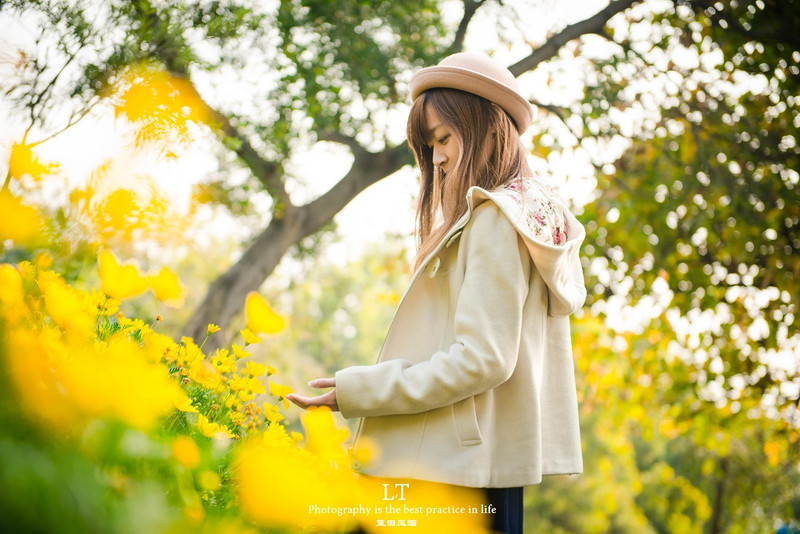 这里铁树开花是家常便饭,还有穿白色V领服的贪吃黑熊