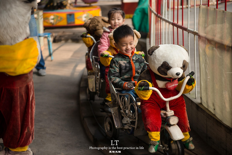 这里铁树开花是家常便饭,还有穿白色V领服的贪吃黑熊