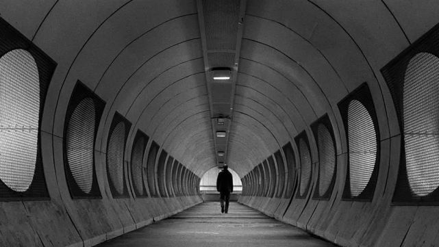 口碑炸裂的励志电影摔跤吧爸爸,中国年度十大电影排行榜