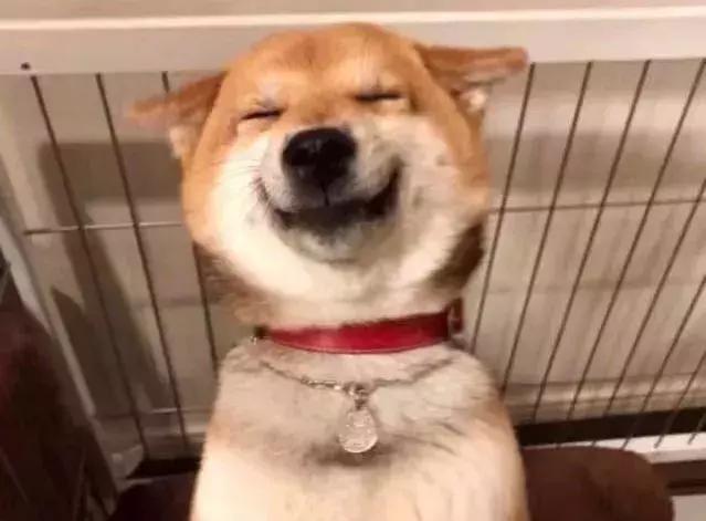 眼霜抗皱去细纹黑眼圈脂肪粒,眼霜推荐去细纹黑眼圈眼袋油脂粒