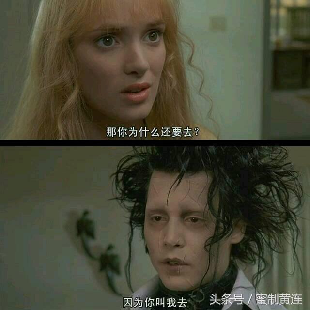 这样的理发师,你会爱上他吗?它叫爱德华!