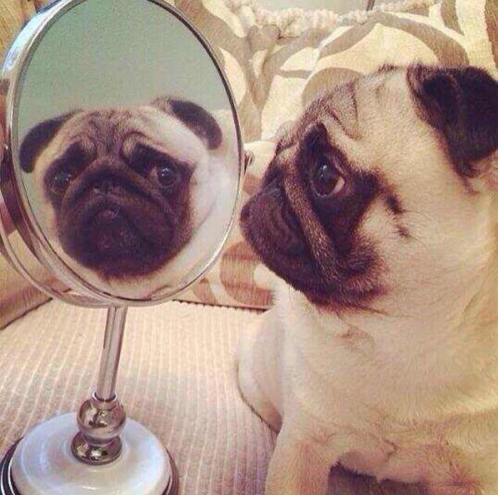 银行卡被盗刷银行要求持卡人自证,银行卡被人盗用不知情会被拘留吗