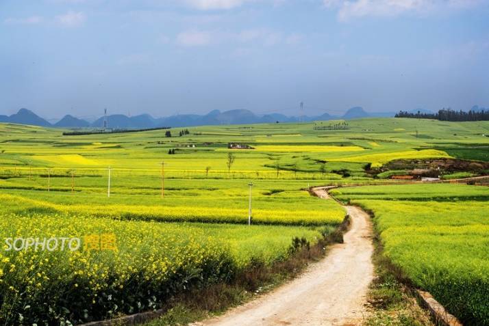 图片库摄影变现,图片库摄影师怎么赚钱