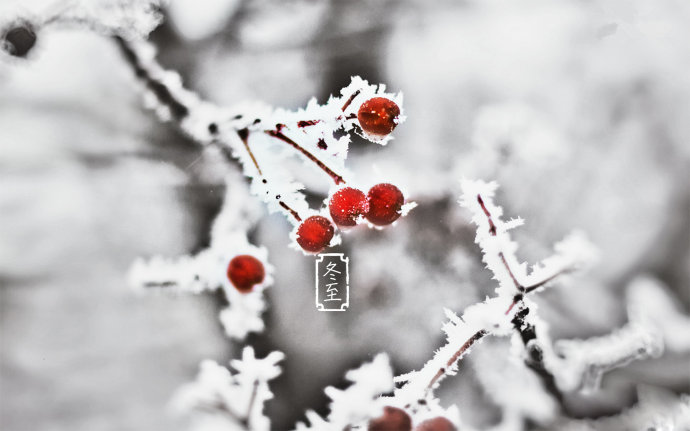 怎样用地理知识理解冬至,冬至保健养生知识大全