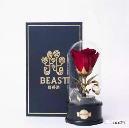 圣诞节一只口红怎么够!转给男朋友暗示一下他!口红我送你!