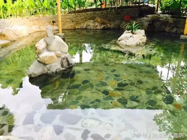 这两天德宏拽伤了,和全世界对话都是:我20度!