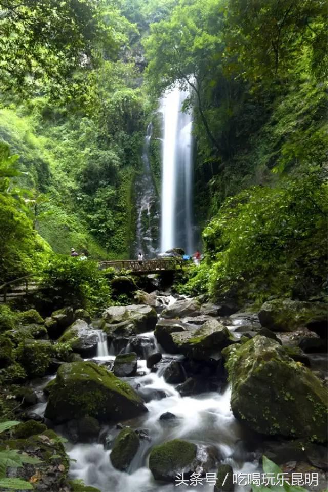 这两天德宏拽伤了,和全世界对话都是:我20度!