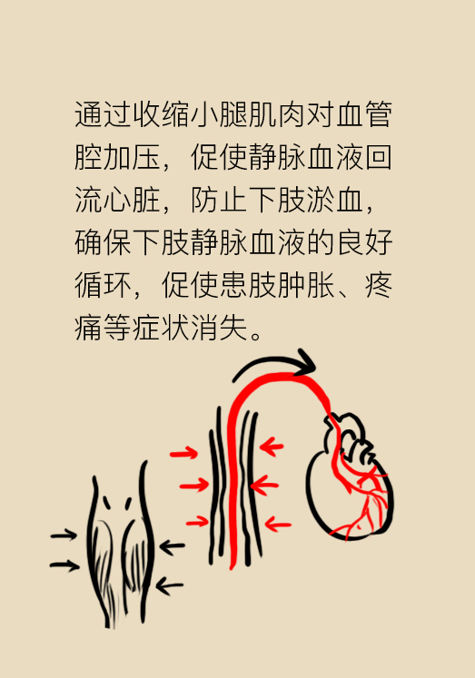 下肢血栓穿弹力袜的注意事项,下肢血栓穿的医用弹力袜怎么选