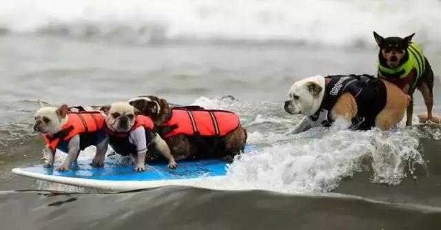 你不知道的酒店经营模式,你不知道的酒店餐厅冷知识