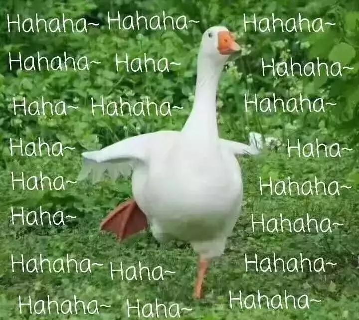 cosme大赏全分析其实这些才值得买,2019cosme大赏榜单出炉你有用过吗