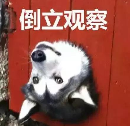 眼霜抗皱去细纹黑眼圈脂肪粒,眼霜推荐去细纹黑眼圈眼袋油脂粒