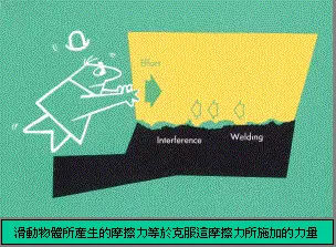 各款机油测评,车界大v