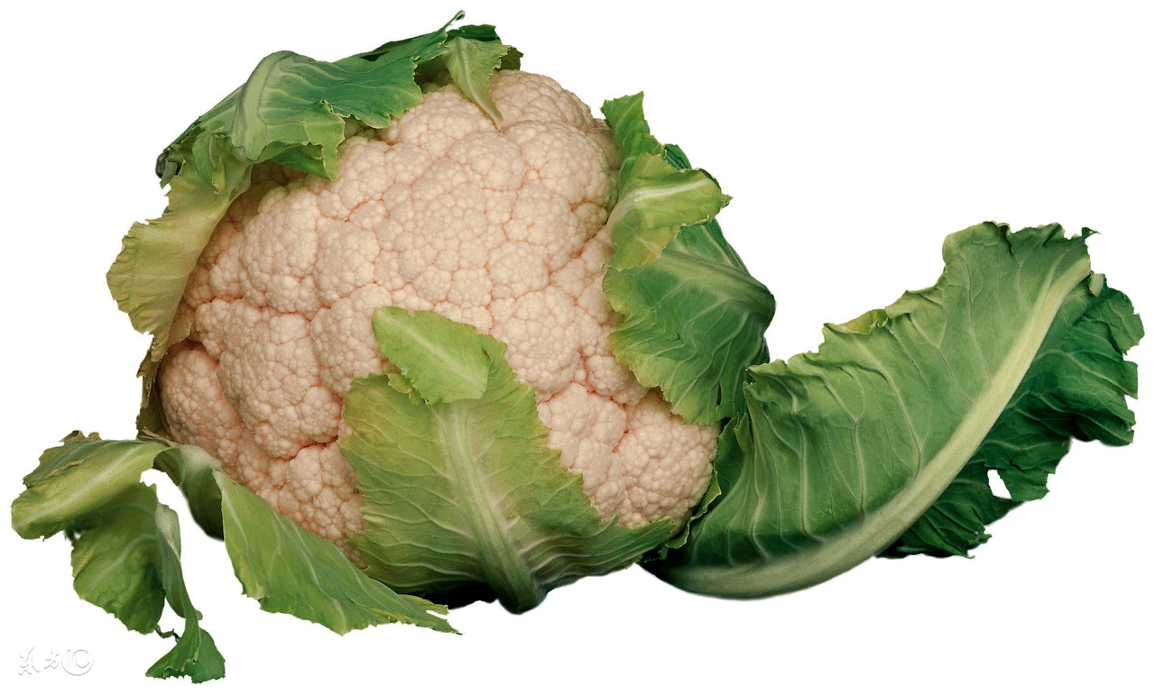 天冷了吃点家常菜,冬季补气补血5道美食