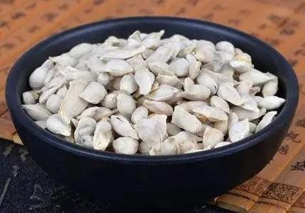 网传吃香椿中毒死亡是真的吗,吃下橘子籽有什么后果