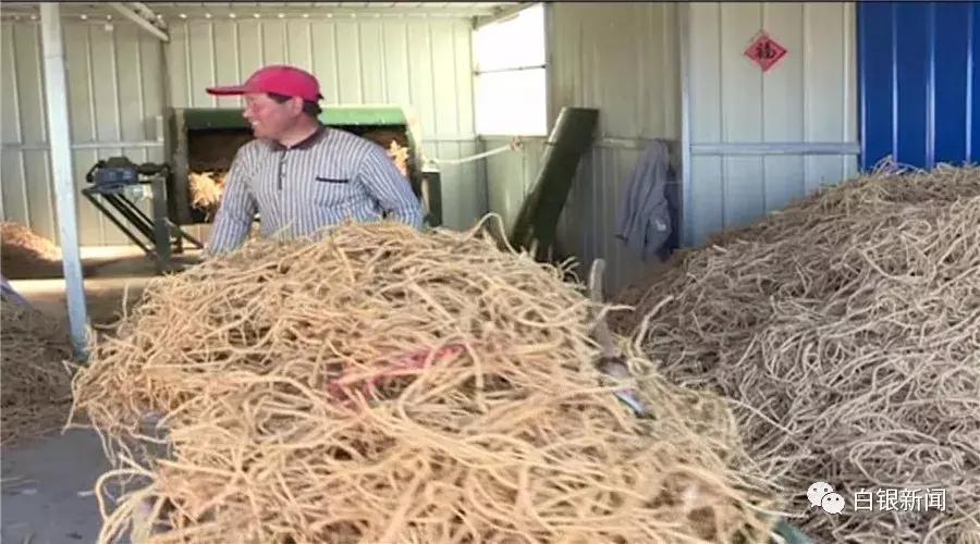 探访80后创业者平川区黄峤镇峤山村村民贠建诚