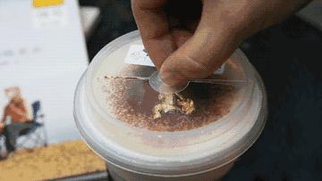 2017年我在上海，我向这些美食势力低头！超过半数没吃过的举手！