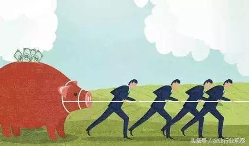 全国农业发展十大机遇,中国农业十大进展