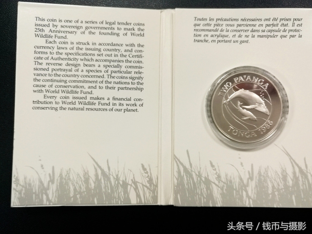 汤加的珍惜鲸鱼银币