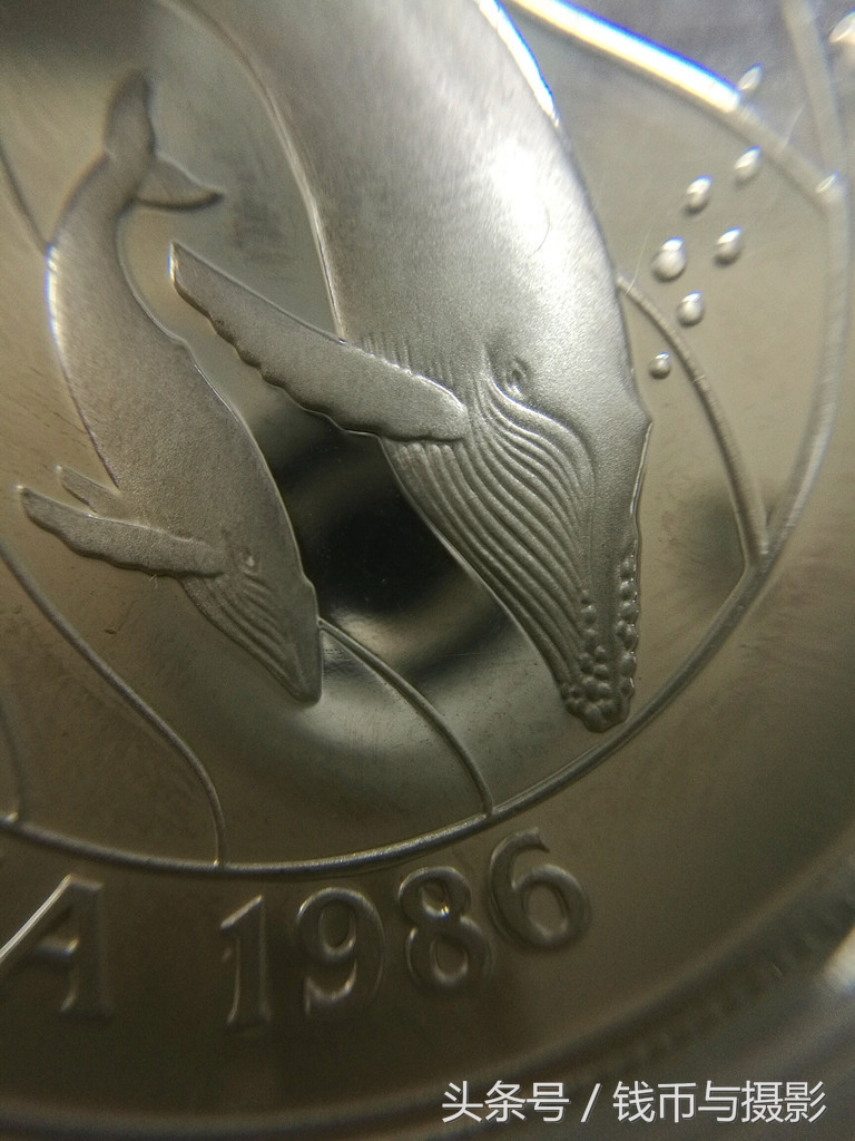 汤加的珍惜鲸鱼银币