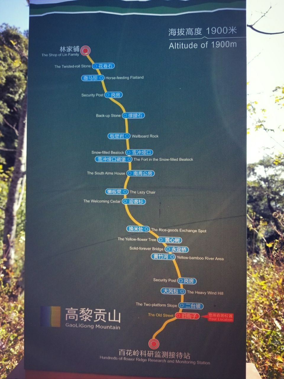 保山小粒咖啡市场分析,云南保山小粒咖啡