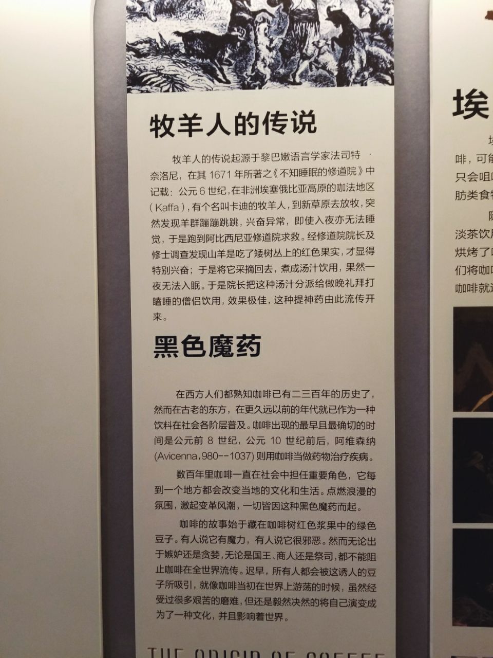 保山小粒咖啡市场分析,云南保山小粒咖啡