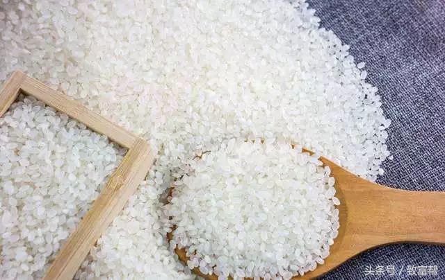 过去免费的致富的好商机,过去免费热门的致富点子